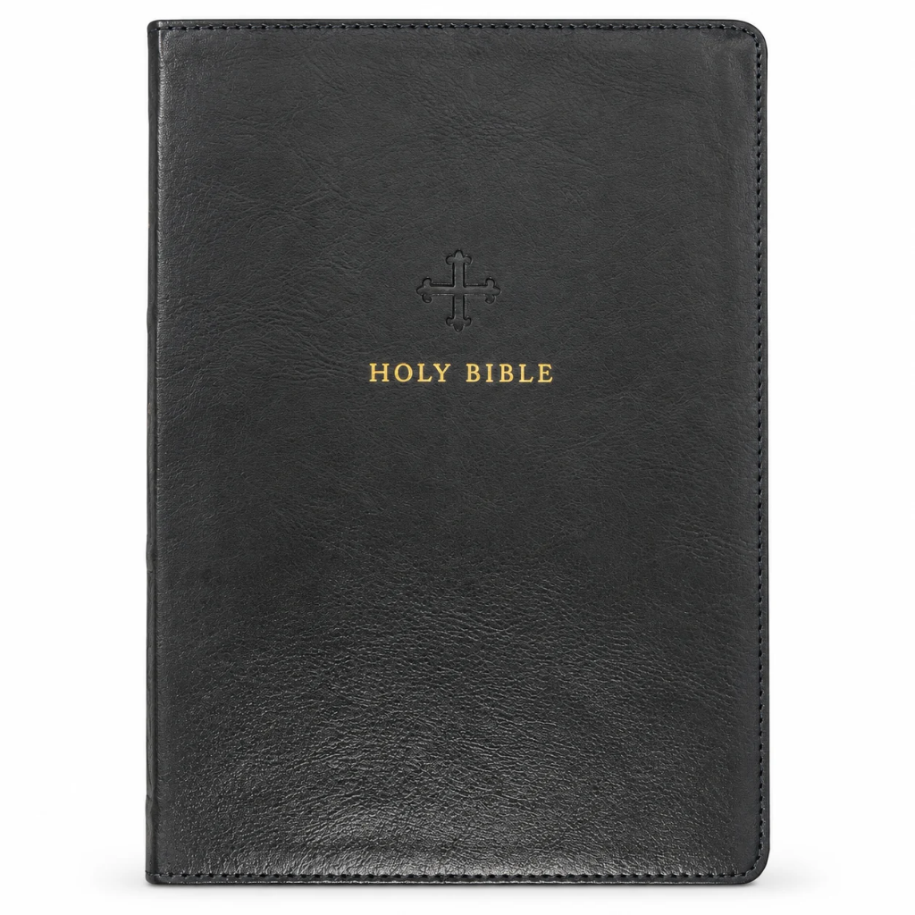 NRSV Catholic Edition Bible