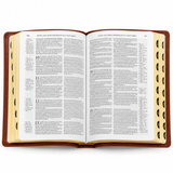 Nabre Catholic Bible/Large Print